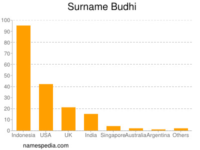 Surname Budhi