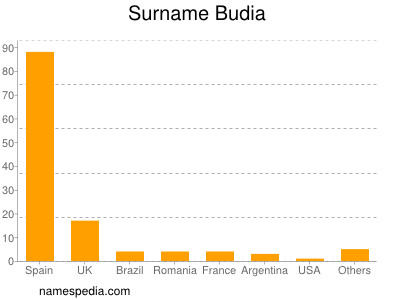 Familiennamen Budia