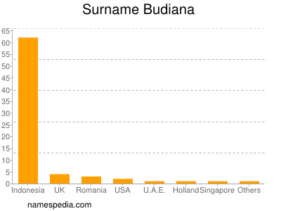 Surname Budiana
