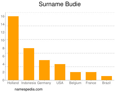 Familiennamen Budie