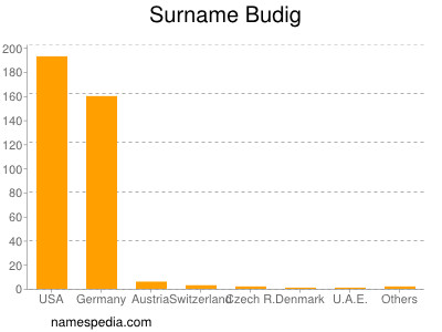 Familiennamen Budig