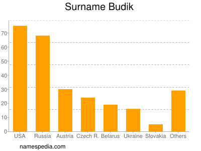 Familiennamen Budik