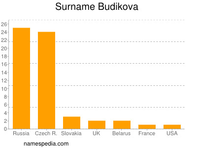 Familiennamen Budikova