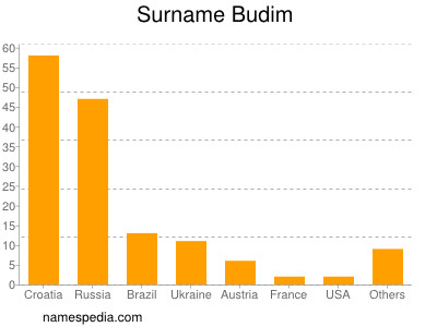 Familiennamen Budim