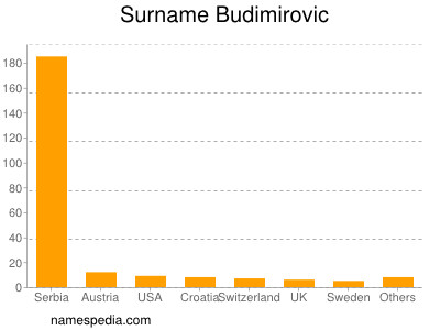 Familiennamen Budimirovic