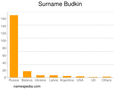 Familiennamen Budkin