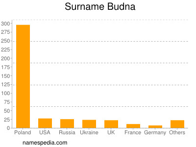 Familiennamen Budna