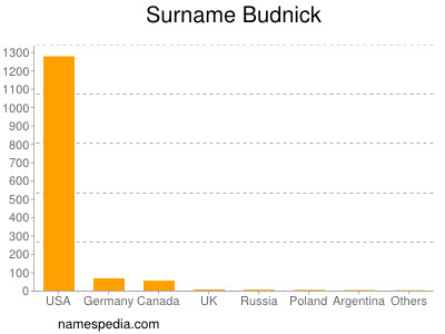 Familiennamen Budnick
