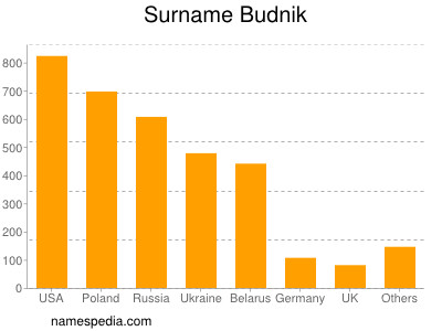 Familiennamen Budnik