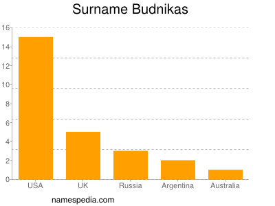Surname Budnikas
