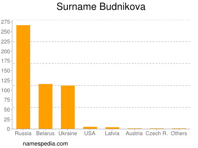 Familiennamen Budnikova