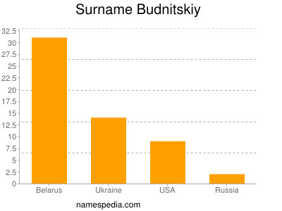 Familiennamen Budnitskiy