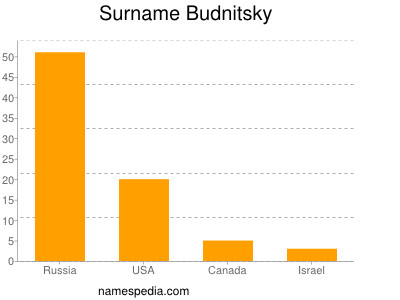 Familiennamen Budnitsky