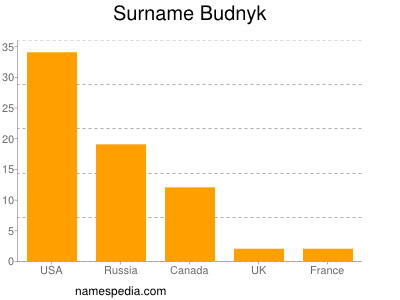 Familiennamen Budnyk
