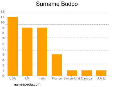 Familiennamen Budoo