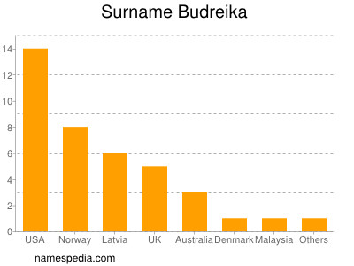 Familiennamen Budreika