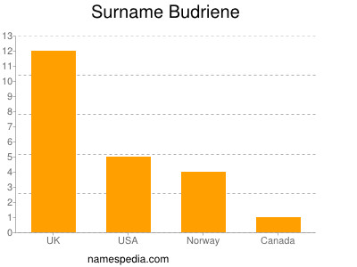 Familiennamen Budriene