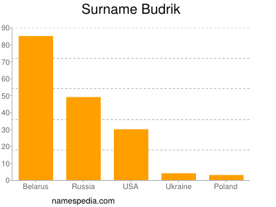 Familiennamen Budrik