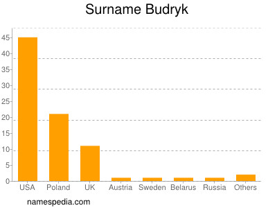 Familiennamen Budryk