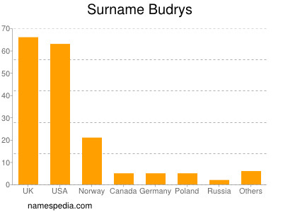 Surname Budrys