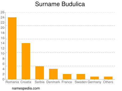 Familiennamen Budulica