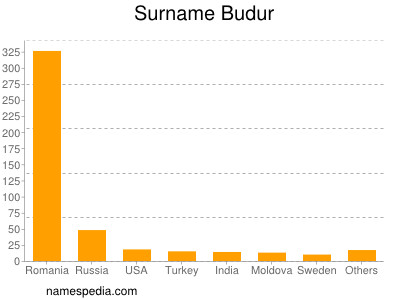 Surname Budur