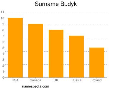 Familiennamen Budyk