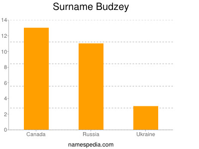 Surname Budzey