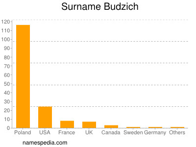 Familiennamen Budzich