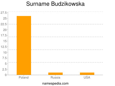 Familiennamen Budzikowska