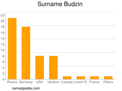 Familiennamen Budzin