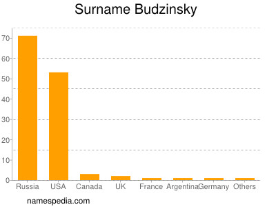 Surname Budzinsky