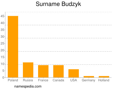 Familiennamen Budzyk