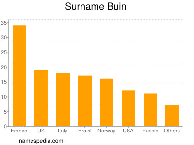 Familiennamen Buin