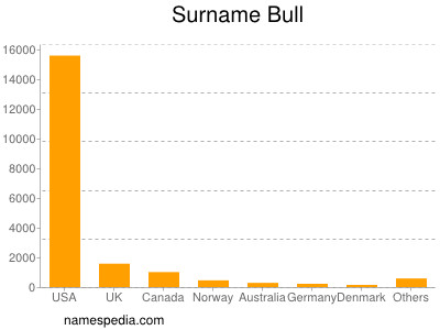 Familiennamen Bull