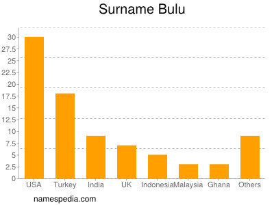 Surname Bulu