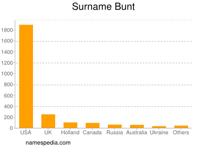 Surname Bunt