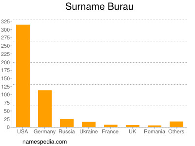 Familiennamen Burau