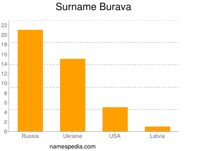 Surname Burava