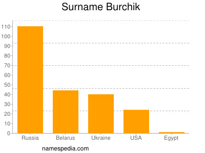 Familiennamen Burchik