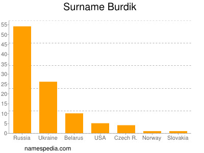 Familiennamen Burdik