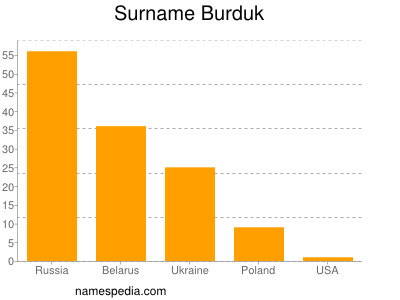 Surname Burduk