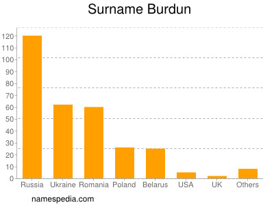 Surname Burdun
