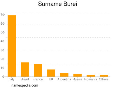 Surname Burei