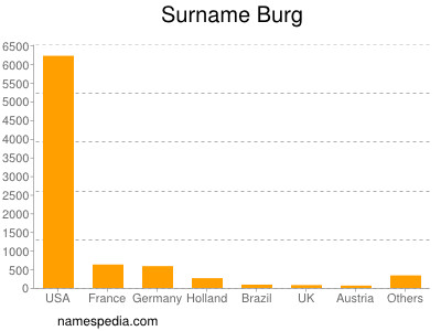 Surname Burg