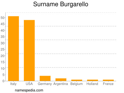 Surname Burgarello
