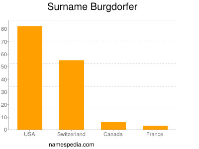 Familiennamen Burgdorfer