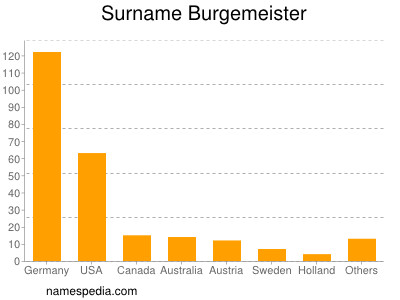 Surname Burgemeister