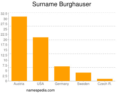 Familiennamen Burghauser