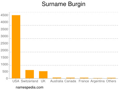 Familiennamen Burgin